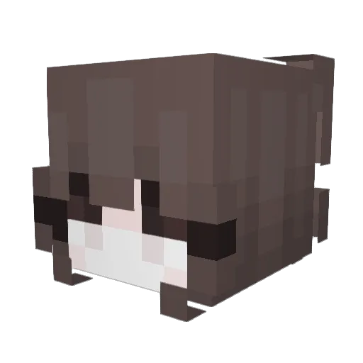 TheGoofyGobber67 Minecraft avatar head, 3D render