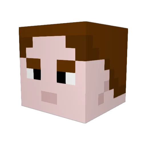 TheGraySkye Minecraft avatar head, 3D render