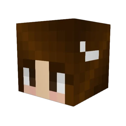 TheGreatBiscut Minecraft avatar head, 3D render