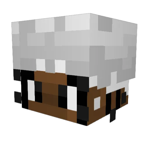 TheGreatMadLad Minecraft avatar head, 3D render