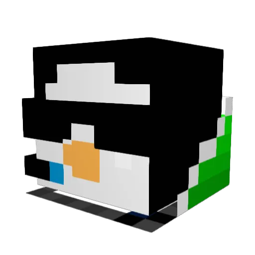 TheGuyFromPoland Minecraft avatar head, 3D render