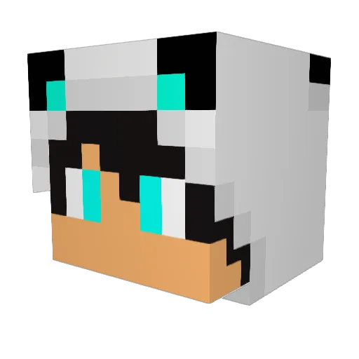 TheGuyOnTop Minecraft avatar head, 3D render