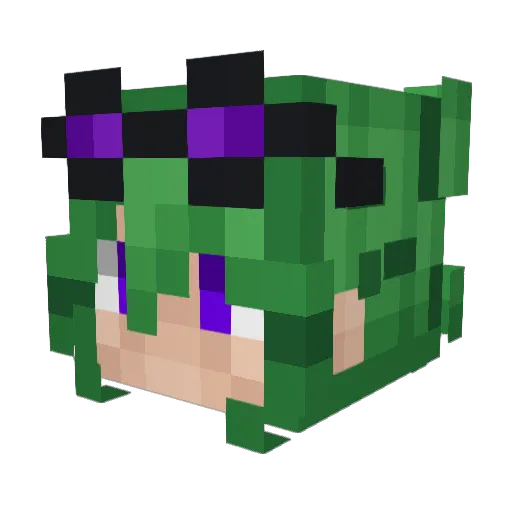 TheGuyWitN Minecraft avatar head, 3D render
