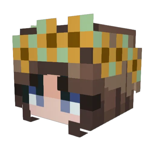 TheHackedChicken Minecraft avatar head, 3D render