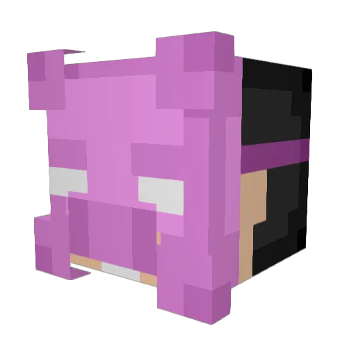 TheHamHawk Minecraft avatar head, 3D render