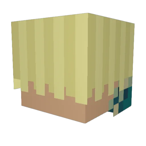 TheHandOfWrath Minecraft avatar head, 3D render