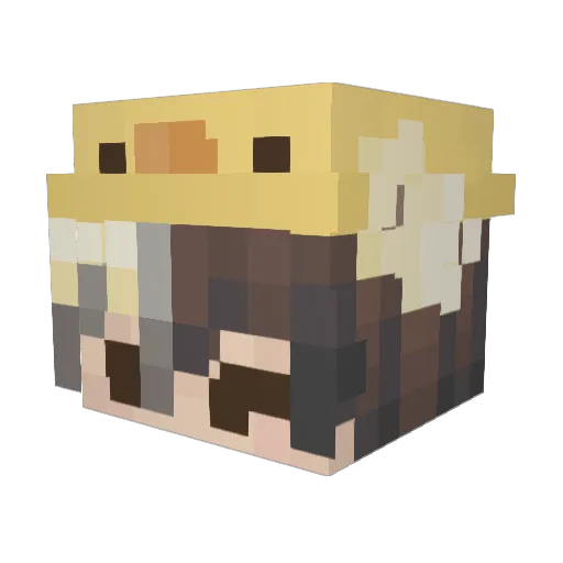 TheHapyDuck Minecraft avatar head, 3D render
