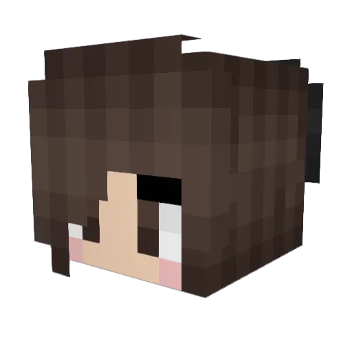 TheHardTurtle Minecraft avatar head, 3D render