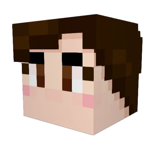 TheHeavyJesus Minecraft avatar head, 3D render