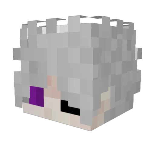 TheHect Minecraft avatar head, 3D render