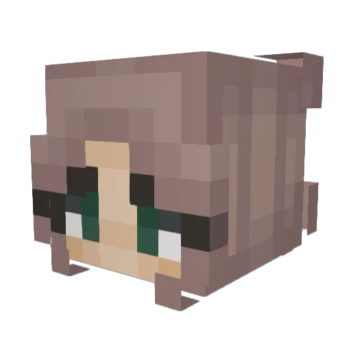 TheHedges Minecraft avatar head, 3D render