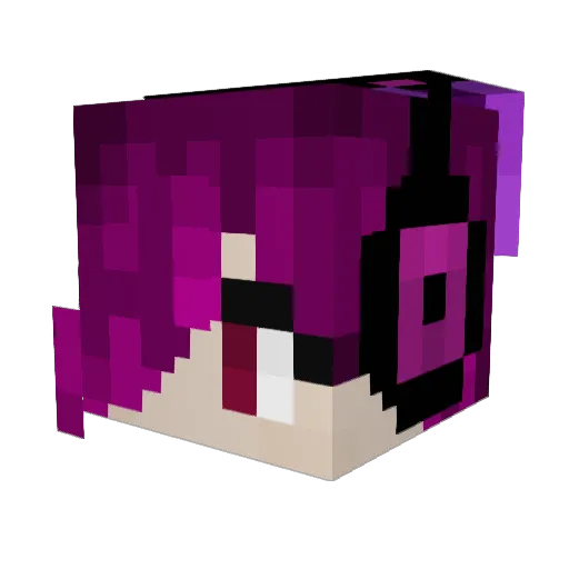 TheHeimZocker Minecraft avatar head, 3D render