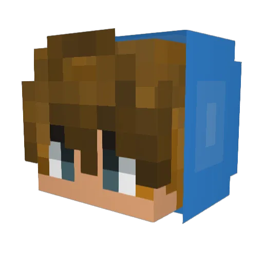 TheHenry09 Minecraft avatar head, 3D render
