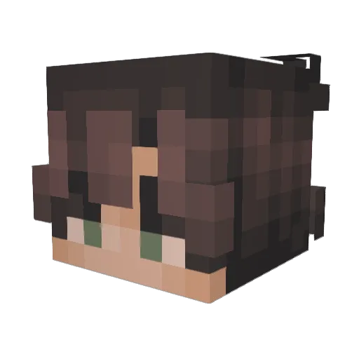 TheHero95 Minecraft avatar head, 3D render