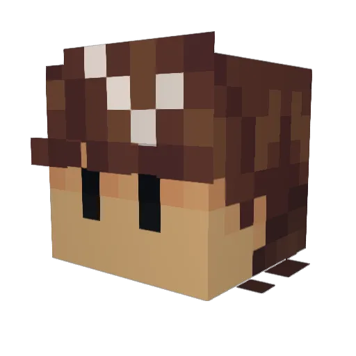 TheHeroOfAlways Minecraft avatar head, 3D render