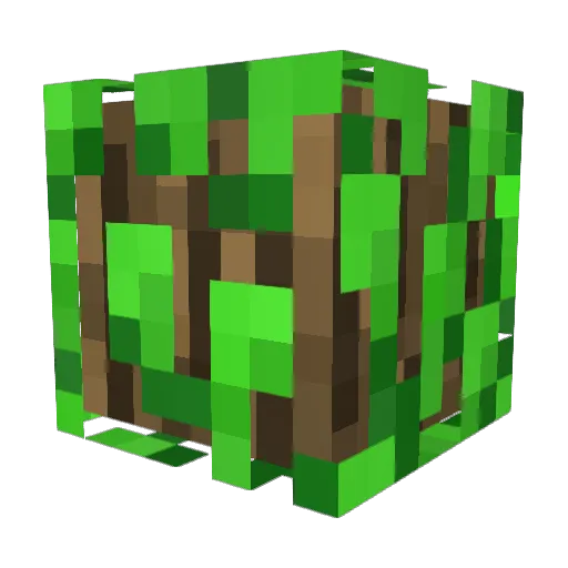 TheHirni21 Minecraft avatar head, 3D render