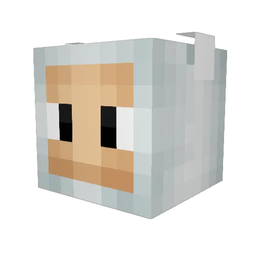 TheHoboSapien Minecraft avatar head, 3D render