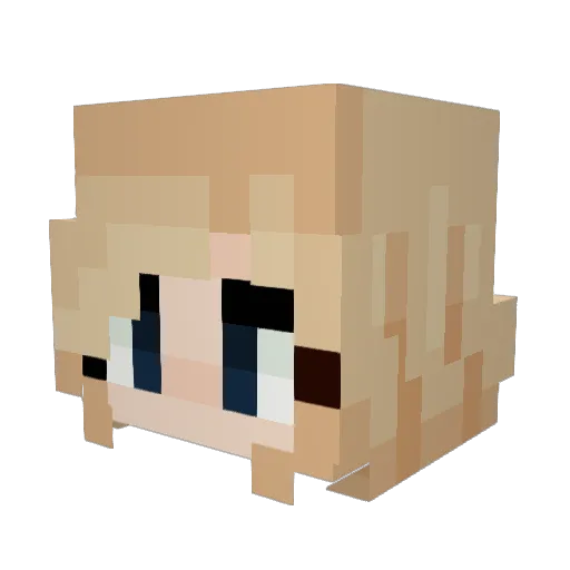 TheHobo_On4thSt Minecraft avatar head, 3D render