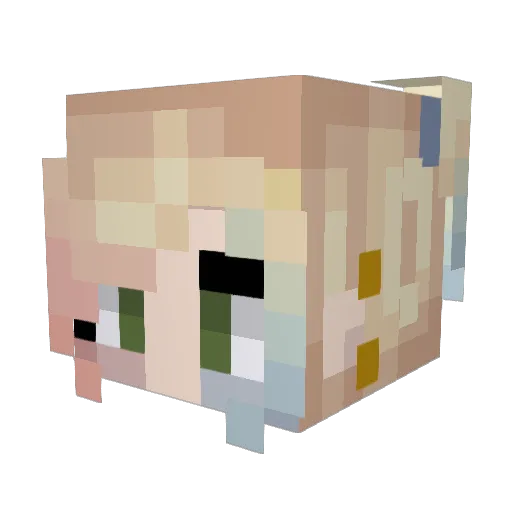 TheHollow0526 Minecraft avatar head, 3D render