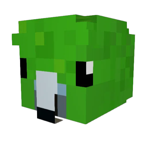 TheHolyCrunch Minecraft avatar head, 3D render