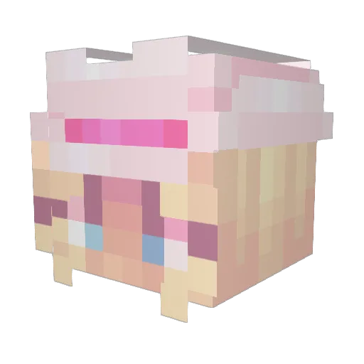 TheHolyNanoSpud Minecraft avatar head, 3D render