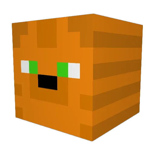 TheHolyPoes Minecraft avatar head, 3D render
