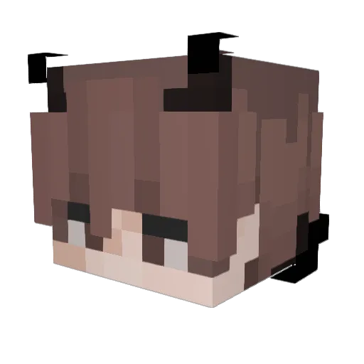 TheHolySpiwit Minecraft avatar head, 3D render
