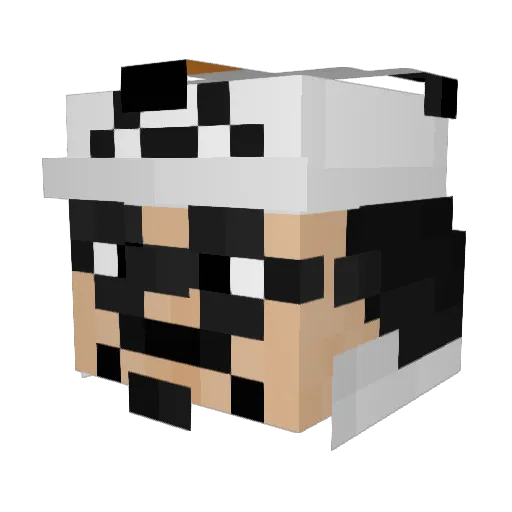 TheHonggleDong Minecraft avatar head, 3D render