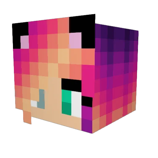TheHoodedGamer09 Minecraft avatar head, 3D render