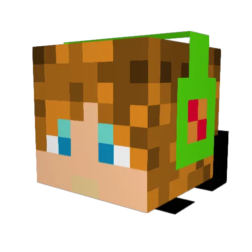 TheHousebuilder1 Minecraft avatar head, 3D render