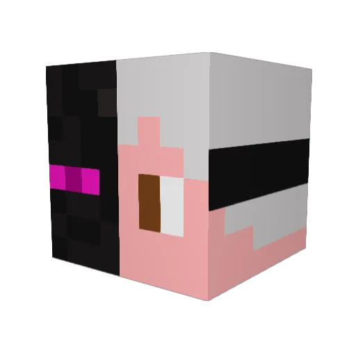 TheHunction Minecraft avatar head, 3D render