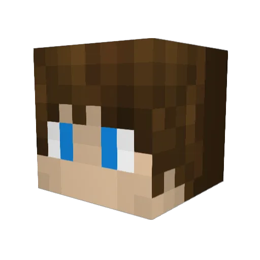 TheHunter907 Minecraft avatar head, 3D render