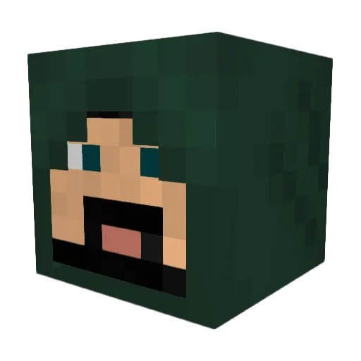 TheHunter9174 Minecraft avatar head, 3D render