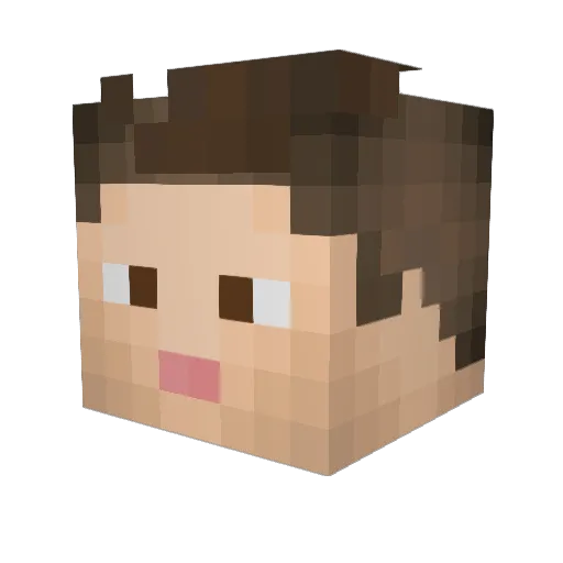 TheHunterTestimo Minecraft avatar head, 3D render