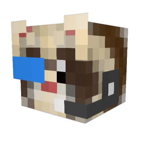 TheHuron10 Minecraft avatar head, 3D render
