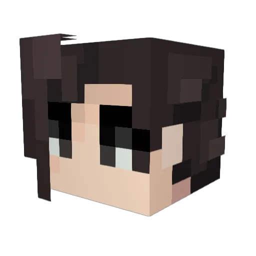 TheHyperLynx Minecraft avatar head, 3D render