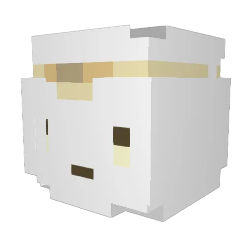 TheIceJester Minecraft avatar head, 3D render