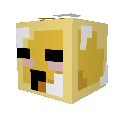 TheIceKing18 Minecraft avatar head, 3D render
