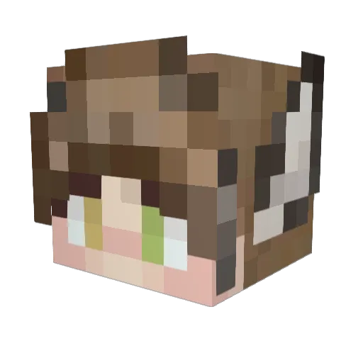 TheIceQueens Minecraft avatar head, 3D render