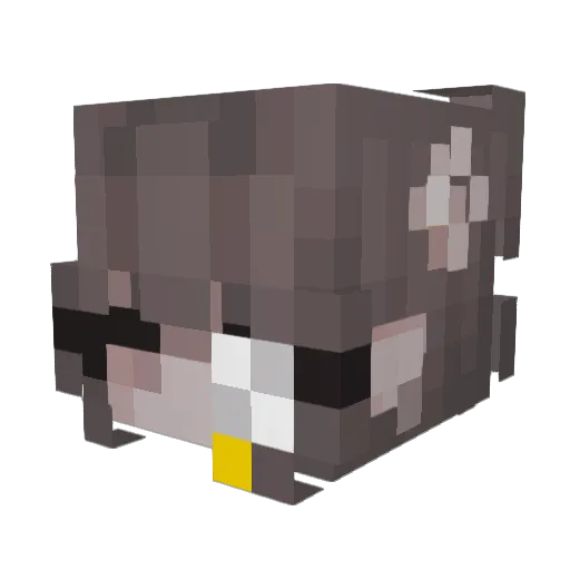 TheIcemachine Minecraft avatar head, 3D render