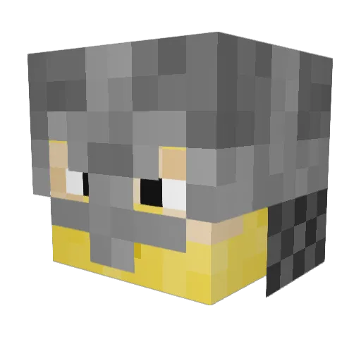 TheIconoclast42 Minecraft avatar head, 3D render