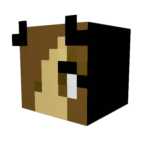 TheIllusioner Minecraft avatar head, 3D render