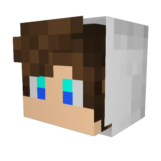 TheImSebas Minecraft avatar head, 3D render