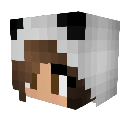 TheImpatientOne Minecraft avatar head, 3D render