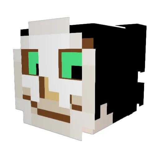 TheInfamousWisp Minecraft avatar head, 3D render