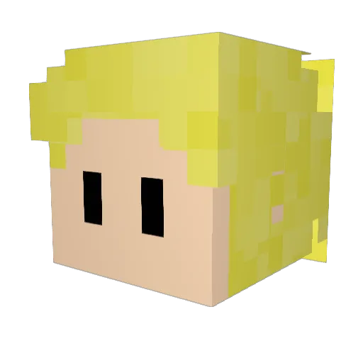 TheInsaneTiger Minecraft avatar head, 3D render