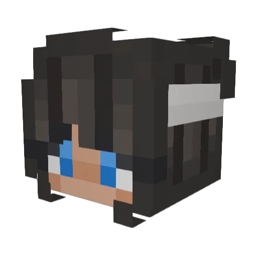 TheIntrovertShad Minecraft avatar head, 3D render