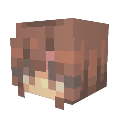TheInvertedNut Minecraft avatar head, 3D render