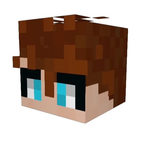 TheIronTeddy Minecraft avatar head, 3D render