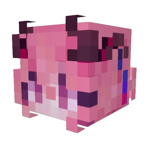 TheIvoryFlower Minecraft avatar head, 3D render